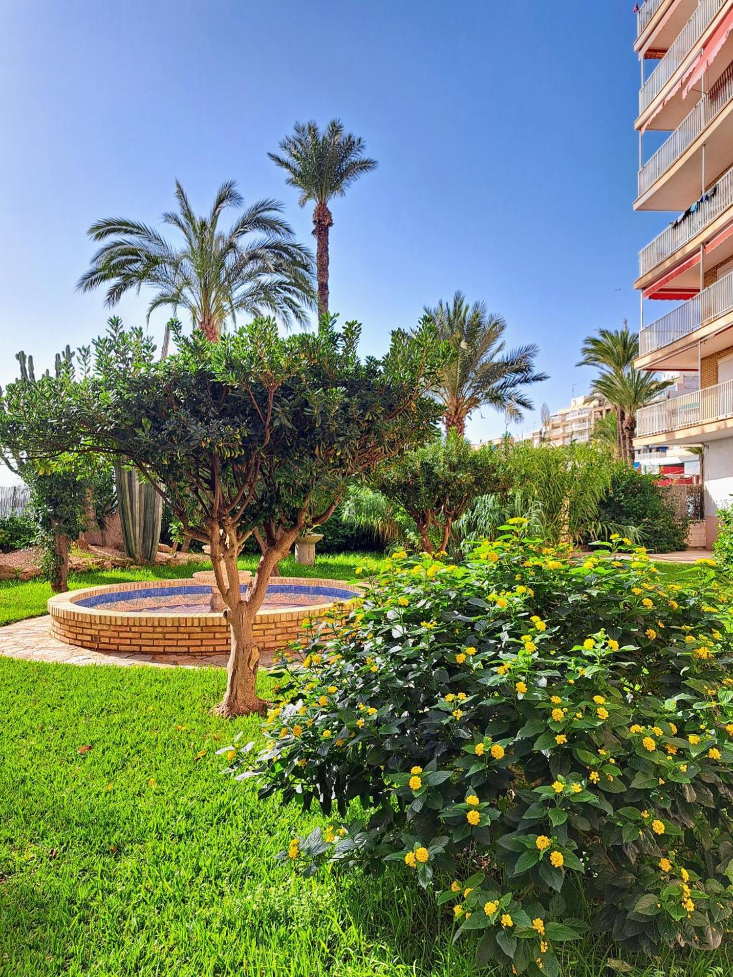 Garden Beach Apartment 또레비에하 외부 사진